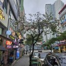 촌국시 이미지