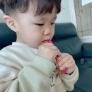 광고물협회-18 | 어린이 홍삼 젤리 추천, 맛있는 락피도 티니핑 기운쑥쑥 홍삼젤리