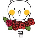 어반복싱짐 이미지