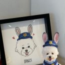주디아트 | [홍자두아트] 강아지 일러스트 후기｜추억으로 남기기 좋은 반려동물 액자