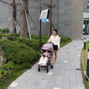 더그램플러스 이미지