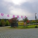 약수골캠프촌 오토캠핑장 이미지
