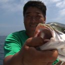 행복한바다 이미지