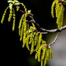 전원농장 이미지