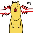 미조리해물찜 이미지