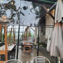 황제주유소 이미지