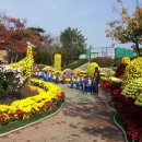 동화나라어린이집 이미지