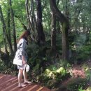 천지연랜드식당 이미지