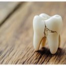 서울미담치과의원 이미지