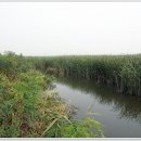 노진낚시터 이미지