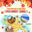 고코요