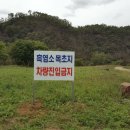 청하웰빙식품 이미지