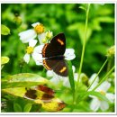 흥국농장 이미지