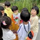 꼬마코끼리가는길 이미지