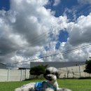 하우에버 포우에버 이미지