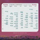 (주)디씨팜 | 2023 Coachella 후기 - 3일차