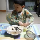 콩끼리 네이버블로그