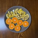 외도벨리애완견펫 | 켄싱턴리조트 설악밸리 펫 베른 - 1박 후기