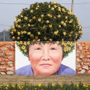 선도