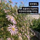 동락원 - 안성시 죽주로 231 | 동락원