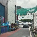 안양 cs 풋살장 이용 후기 (주차 정보)