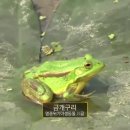 개구리PC방 이미지