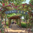 RoseDay 이미지