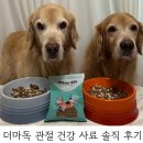 오늘독 | 강아지 관절 사료 더마독 관절 건강 사료 솔직후기