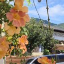 그린이용소 이미지