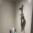 다움핏 | 온천장 쾌적한 헬스장 피티 추천 다움핏 솔직후기