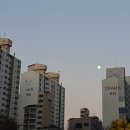 피자스쿨 강원도인제점 | [강원도 인제] 자작나무숲 트래킹 당일치기 여행...역 집들이(마라탕, 피자, 탕수육, 아이스크림 케이크)