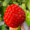 동방농장 이미지