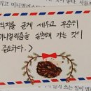 앤니 이미지