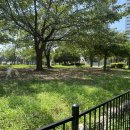 꽃길만걷개 이미지