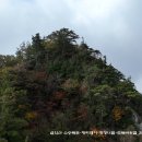 돼지도둑 - 안양시 만안구 박달로 460 | 돼지도둑