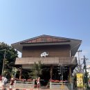 코끼리광고기획 - 서구 | [치앙마이 맛집] 왓 체디루앙 도보 2분 거리, 태국음식점 see you soon 가격 메뉴 맛 솔직 후기
