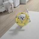 더예쁘개 네이버블로그