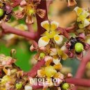 (주)망고로 이미지