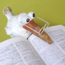 생활영어회화 이미지