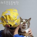 하트온동물병원 이미지