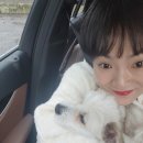 안정현동물병원 이미지