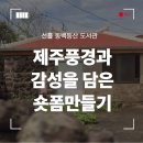 숏폼만들기 이미지