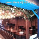 에이치알씨(주) | 인테리어 조화나무 넝쿨 장식 KANIVAL PIZZA 대학로점 시공 후기