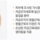칼라세븐 소비자를위한신문