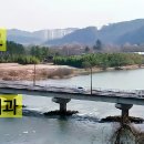 나무역