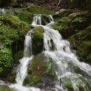 운장산자연휴양림 이미지