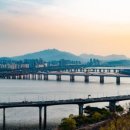 금나라공인중개사사무소 이미지