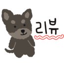 신월동물병원 이미지