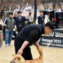 해온 Daum카페