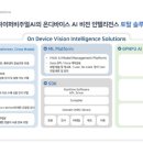 딥그라운드 동아일보